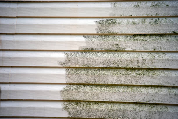 Best Shed Removal  in Bargersville, IN